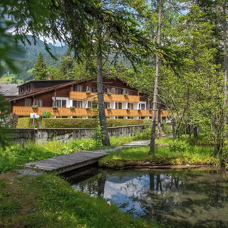 Les Sources 3* Les Diablerets