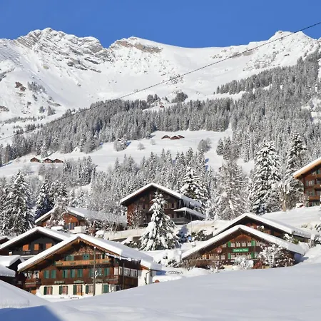 Hotel Les Sources Les Diablerets