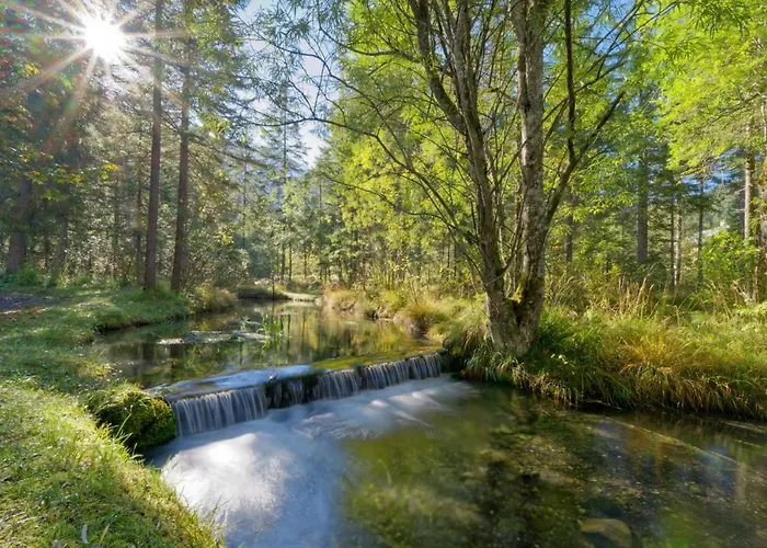 Les Sources Ξενοδοχείο Les Diablerets