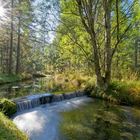 Les Sources Hotell Les Diablerets